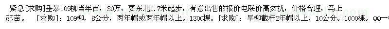 求购垂暴109柳当年苗 ：109柳，8公分