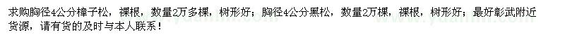 求购胸径4公分樟子松、黑松各2万棵