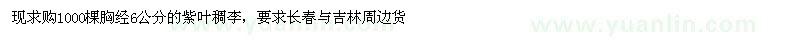 求购现1000棵胸经6公分的紫叶稠李