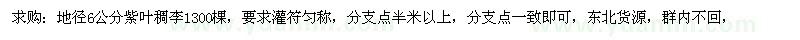 求购地径6公分紫叶稠李1300棵 