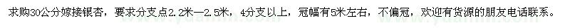 求购30公分嫁接银杏2棵