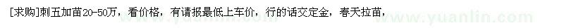 求购刺五加苗20-50万