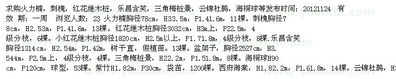 求购火力楠，刺槐，红花继木桩，乐昌含笑，三角梅桩景，云锦杜鹃，海桐球等