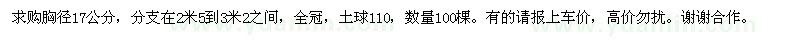 求购黄山栾树 100棵