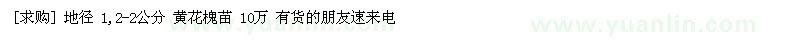 求购地径 1,2-2公分 黄花槐苗 10万