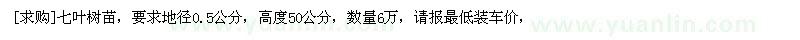 求购地径0.5公分七叶树苗，高度50公分