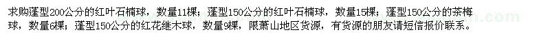 求购红叶石楠球、茶梅球、红花继木球