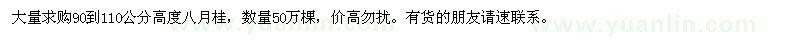 求购90到110公分高度八月桂