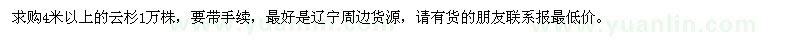 求购4米以上的云杉1万株