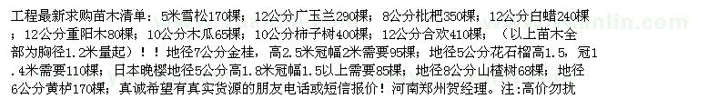 求购雪松 广玉兰 枇杷 白蜡 重阳木 木瓜 柿子树 