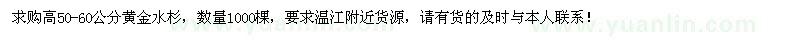 求购高50-60公分黄金水杉1000棵