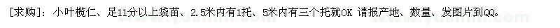 求购小叶榄仁、足11分以上袋苗、2.5米内有1托