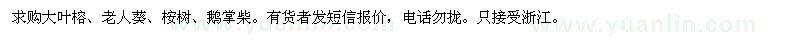 求购大叶榕、老人葵、桉树、鹅掌柴 