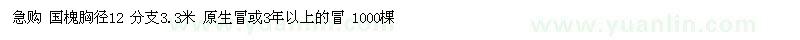 求购 国槐胸径12 分支3.3米