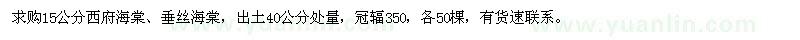 求购15公分西府海棠、垂丝海棠 