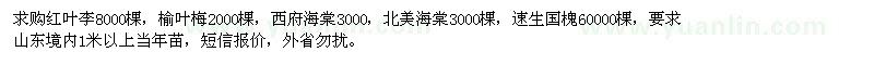 求购1米以上红叶李、榆叶梅、西府海棠、北美海棠、速生国槐当年苗