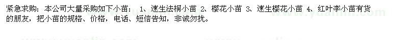 求购速生法桐、樱花、红叶李小苗 