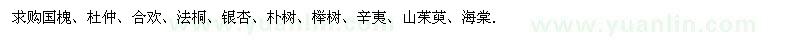 求购国槐、杜仲、合欢、法桐、银杏、朴树、榉树、辛夷、山茱萸、海棠