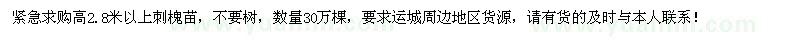 求购高2.8米刺槐苗30万棵