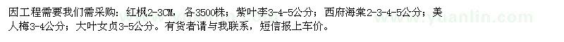 求购红枫、紫叶李、西府海棠、美人梅