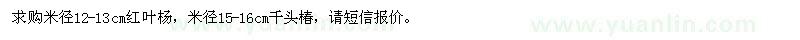 求购米径12-13cm红叶杨，米径15-16cm千头椿 