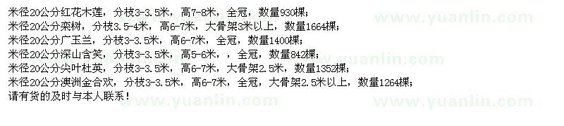 求购红花木莲、栾树、广玉兰、深山含笑、尖叶杜英、澳洲金合欢