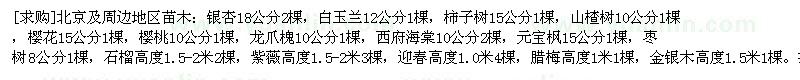 求购北京及周边 银杏 白玉兰 柿子树 山楂树 樱花 樱桃 龙爪槐