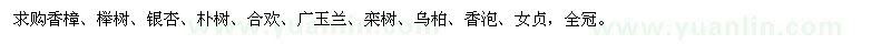 求购香樟、榉树、银杏、朴树、合欢、广玉兰、栾树、乌柏、香泡、女贞