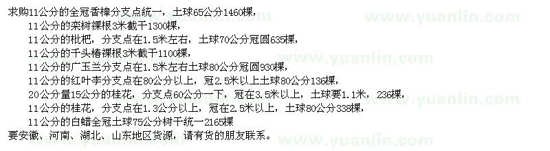 求购11公分香樟、栾树、枇杷、千头椿、广玉兰、红叶李、桂花、白蜡，15公分桂花