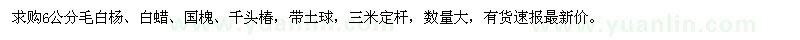 求购6公分毛白杨、白蜡、国槐、千头椿