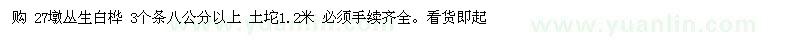 求购27墩丛生白桦 3个条八公分以上