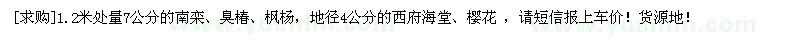 求购1.2米处量7公分的南栾、臭椿、枫杨