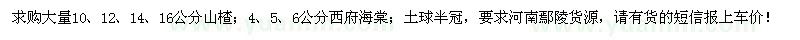 求购山楂、西府海棠