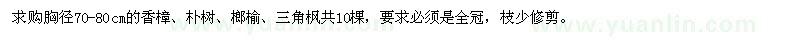 求购胸径70-80cm的香樟、朴树、榔榆、三角枫