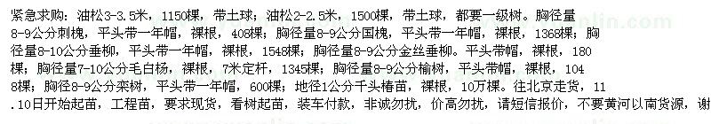 求购油松3-3.5米，1150棵，带土球；油松2-2.5米，1500棵