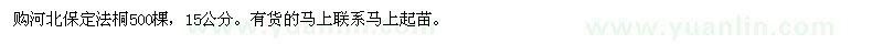 求购河北保定法桐500棵，15公分