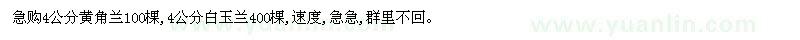 求购4公分黄角兰100棵,4公分白玉兰400棵