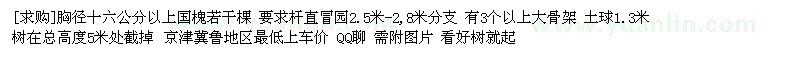 求购胸径十六公分以上国槐若干棵