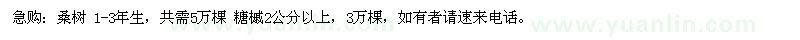 求购桑树 1—3年生 糖槭2公分以上