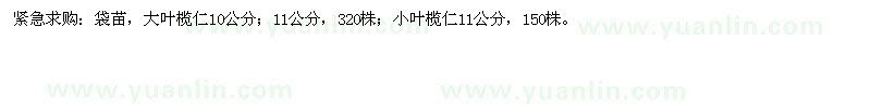 求购大叶榄仁、小叶榄仁