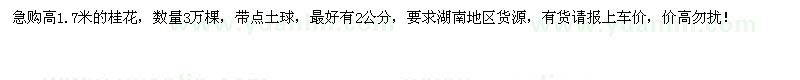 求购高1.7米桂花3万棵