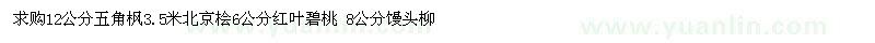 求购12公分五角枫3.5米北京桧6公分红叶碧桃 8公分馒头柳