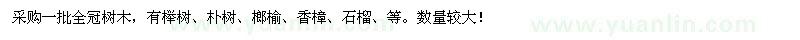 求购榉树、朴树、榔榆、香樟、石榴等