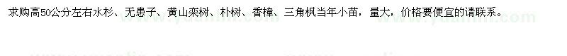 求购高50公分左右水杉、无患子、黄山栾树、朴树、香樟、三角枫当年小苗