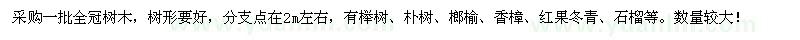 求购榉树、朴树、榔榆、香樟、红果冬青、石榴等