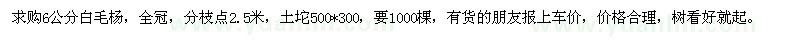 求购6公分白毛杨，全冠，分枝点2.5米