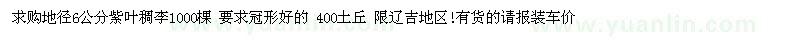 求购地径6公分紫叶稠李1000棵