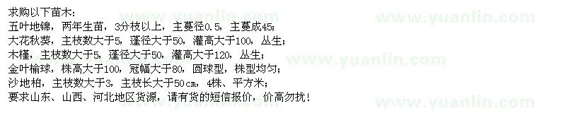 求购五叶地棉、大花秋葵、木槿、金叶榆球、沙地柏