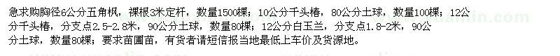 求购五角枫、千头椿、 白玉兰