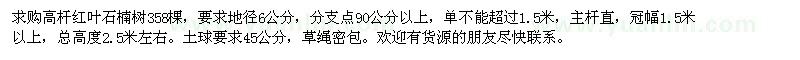 求购地径6公分高杆红叶石楠树358棵